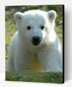 Baby knut Polar Bear Paint By Number