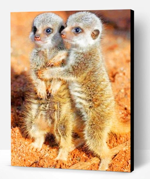 Meerkats Babies Paint By Number