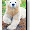 Baby Polar Bear Paint By Number