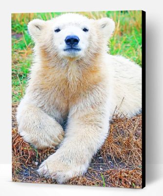 Baby Polar Bear Paint By Number