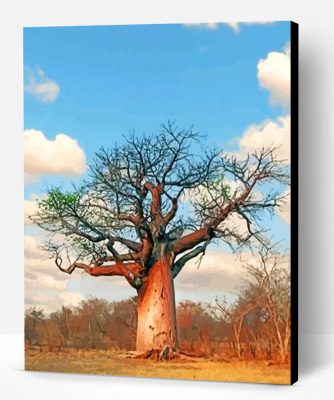 Baobab Tree Paint By Number