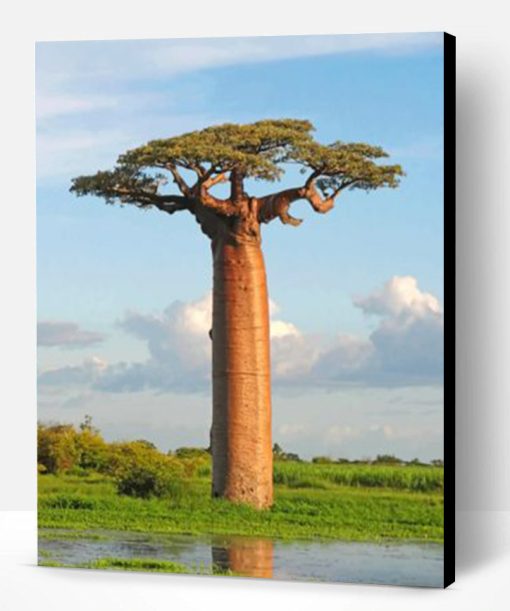 Baobab Tree Paint By Number