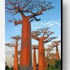 Baobab Trees Paint By Number