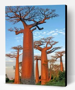 Baobab Trees Paint By Number