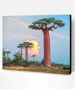Baobab Tree Paint By Number