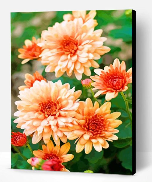 Beautiful Chrysanthemum Paint By Number