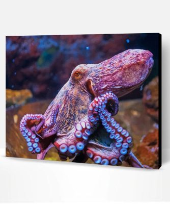 Octopus Animal Paint By Number