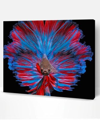 Betta Fish Paint By Number