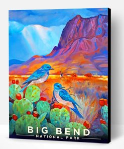Big Bend Paint By Number