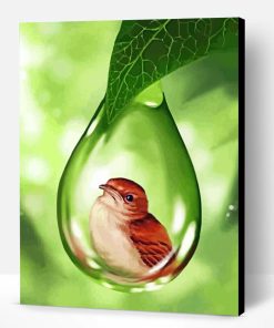 Bird In Bubble Drop Of Water Paint By Number
