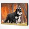 Black And Grey Schnauzer Paint By Number
