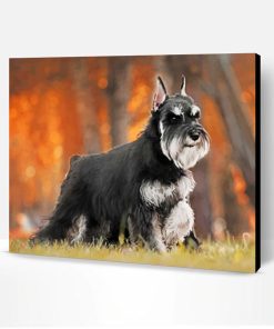 Black And Grey Schnauzer Paint By Number