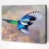 Black Billed Magpie Bird Paint By Number