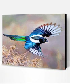 Black Billed Magpie Bird Paint By Number