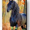 Friesian Black Horse Paint By Number