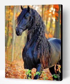 Friesian Black Horse Paint By Number