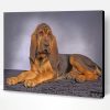 Bloodhound Dog Animal Paint By Number