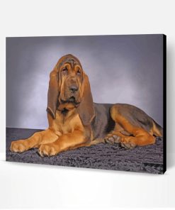 Bloodhound Dog Animal Paint By Number