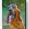 Bloodhound With Sunglasses Paint By Number