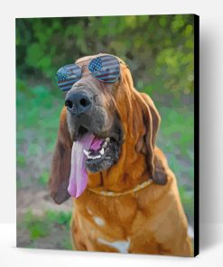Bloodhound With Sunglasses Paint By Number
