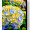 Blue And Yellow Hydrangea Paint By Number