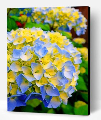 Blue And Yellow Hydrangea Paint By Number