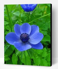 Blue Anemone Flower Paint By Number