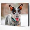 Blue Heeler Paint By Number