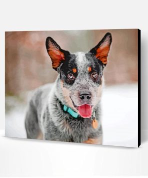Blue Heeler Paint By Number
