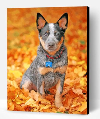 Blue Heeler Pet Paint By Number