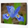Blue Iris Flower Paint By Number