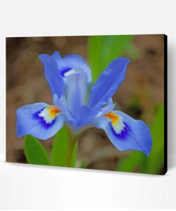 Blue Iris Flower Paint By Number
