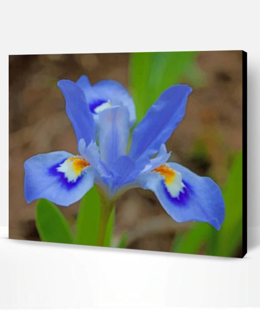 Blue Iris Flower Paint By Number