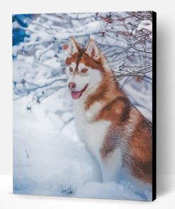 Brown Husky In The Snow Paint By Number