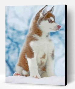Brown Husky Snow Paint By Number