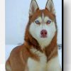 Brown Husky With Blue Eyes Paint By Number