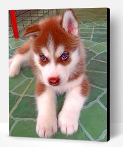 Brown Puppy Husky Paint By Number