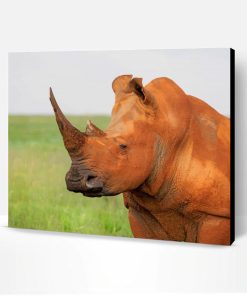 Brown Rhinoceros Paint By Number