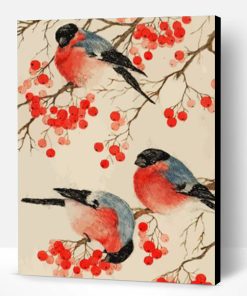 Bullfinch Birds Paint By Number