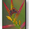 Butterfly And Bird Of Paradise Flower Paint By Number