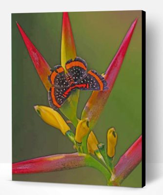 Butterfly And Bird Of Paradise Flower Paint By Number