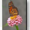 Monarch Butterfly On A Pink Flower Paint By Number