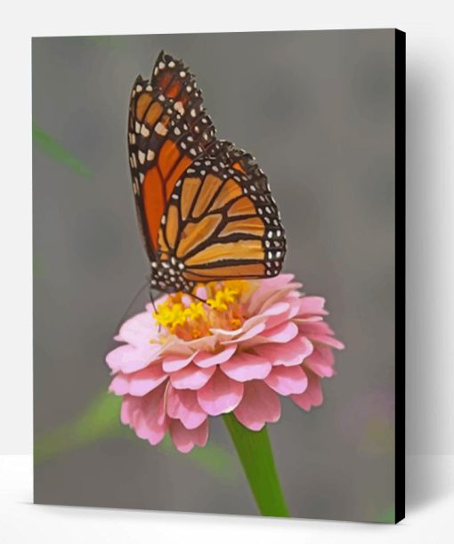 Monarch Butterfly On A Pink Flower Paint By Number