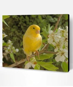 Canary Bird And Flower Paint By Number