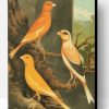 Canary Birds Paint By Number