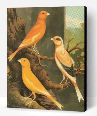 Canary Birds Paint By Number