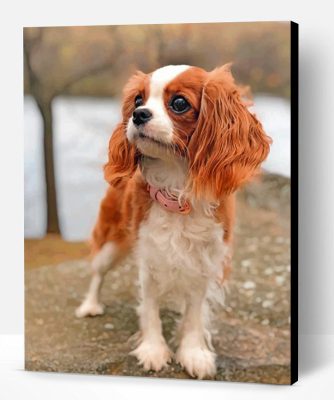 Cavalier Puppy Paint By Number