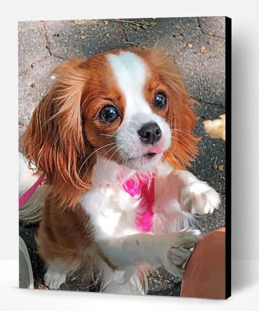 Cavalier Puppy Paint By Number