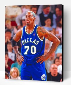 Chicago Bulls Dennis Rodman Paint By Number