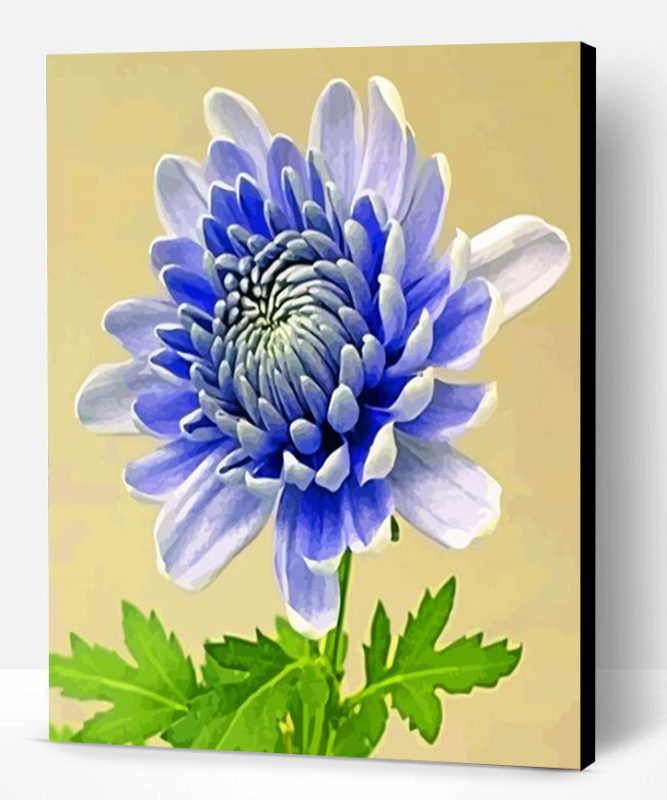 Chrysanthemum Flower Paint By Numbers Paint By Numbers PRO